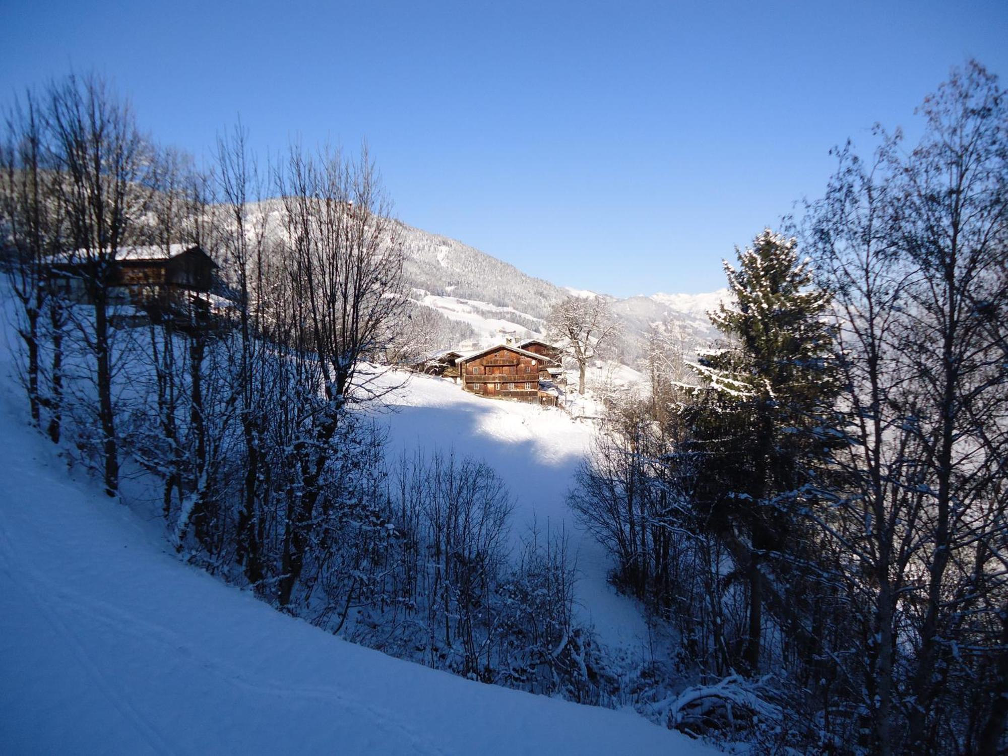 Apart Bianca Zillertal 칼텐바흐 외부 사진